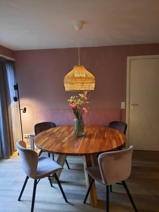 הוילה Bakkeveen 4-6 Persoons Vakantiewoning Met Eigen Tuin מראה חיצוני תמונה