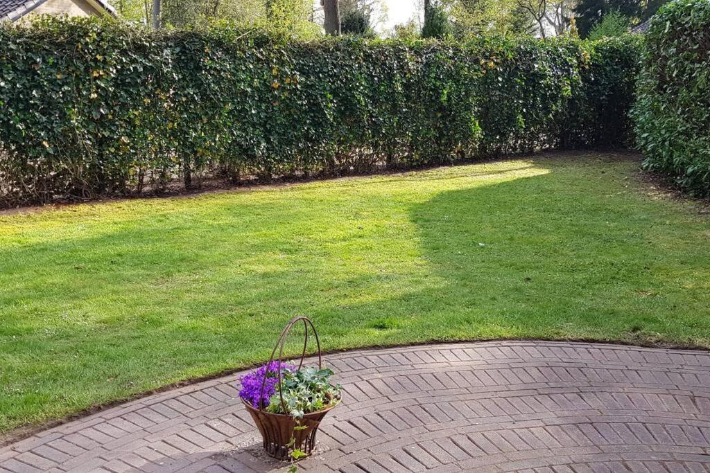 הוילה Bakkeveen 4-6 Persoons Vakantiewoning Met Eigen Tuin מראה חיצוני תמונה